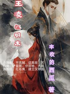 王凌小说主角